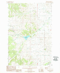 Download a high-resolution, GPS-compatible USGS topo map for Nirling Hill, MT (1989 edition)