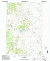 Download a high-resolution, GPS-compatible USGS topo map for Nirling Hill, MT (1998 edition)