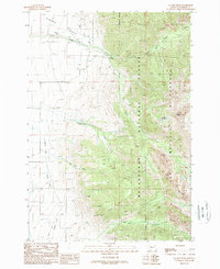 Download a high-resolution, GPS-compatible USGS topo map for No Man Peak, MT (1989 edition)