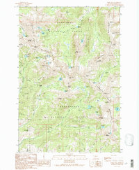 Download a high-resolution, GPS-compatible USGS topo map for Noble Peak, MT (1989 edition)