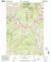 Download a high-resolution, GPS-compatible USGS topo map for Noble Peak, MT (2002 edition)