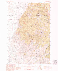 Download a high-resolution, GPS-compatible USGS topo map for Old Baldy Mountain, MT (1989 edition)