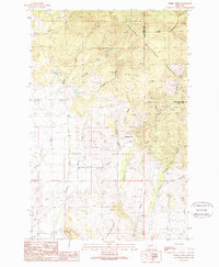 Download a high-resolution, GPS-compatible USGS topo map for Ophir Creek, MT (1989 edition)
