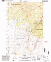 Download a high-resolution, GPS-compatible USGS topo map for Ophir Creek, MT (2004 edition)