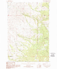 Download a high-resolution, GPS-compatible USGS topo map for Orofino Mountain, MT (1989 edition)