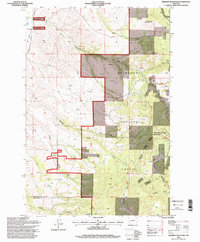 Download a high-resolution, GPS-compatible USGS topo map for Orofino Mountain, MT (1998 edition)
