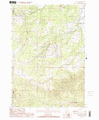 Download a high-resolution, GPS-compatible USGS topo map for Ousel Falls, MT (1989 edition)