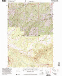 Download a high-resolution, GPS-compatible USGS topo map for Ousel Falls, MT (2005 edition)