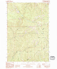 Download a high-resolution, GPS-compatible USGS topo map for Overwhich Falls, MT (1994 edition)