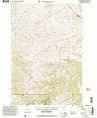 Download a high-resolution, GPS-compatible USGS topo map for Packsaddle Butte, MT (2005 edition)