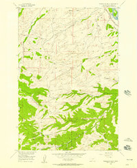 Download a high-resolution, GPS-compatible USGS topo map for Packsaddle Butte, MT (1957 edition)