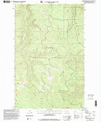 Download a high-resolution, GPS-compatible USGS topo map for Parsnip Mountain, MT (2000 edition)