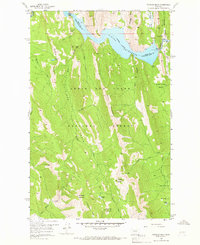 Download a high-resolution, GPS-compatible USGS topo map for Patricks Basin, MT (1966 edition)