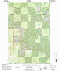 Download a high-resolution, GPS-compatible USGS topo map for Peck Lake, MT (1996 edition)