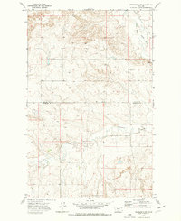 Download a high-resolution, GPS-compatible USGS topo map for Peerless 4 SW, MT (1976 edition)