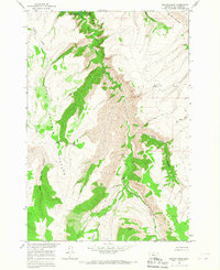 Download a high-resolution, GPS-compatible USGS topo map for Peyote Point, MT (1967 edition)