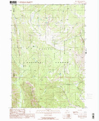 Download a high-resolution, GPS-compatible USGS topo map for Pika Point, MT (1989 edition)