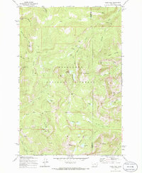 Download a high-resolution, GPS-compatible USGS topo map for Pikes Peak, MT (1986 edition)