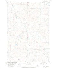 Download a high-resolution, GPS-compatible USGS topo map for Piney Butte SW, MT (1981 edition)