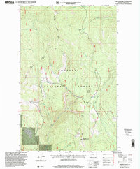 Download a high-resolution, GPS-compatible USGS topo map for Pink Mountain, MT (2000 edition)