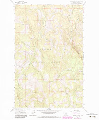 Download a high-resolution, GPS-compatible USGS topo map for Pinkham Mountain, MT (1984 edition)