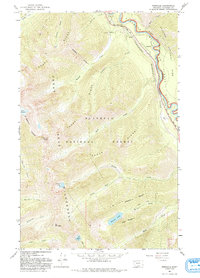 Download a high-resolution, GPS-compatible USGS topo map for Pinnacle, MT (1993 edition)