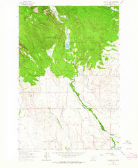 Download a high-resolution, GPS-compatible USGS topo map for Pintlar Lake, MT (1964 edition)