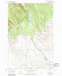 Download a high-resolution, GPS-compatible USGS topo map for Pintler Lake, MT (1985 edition)