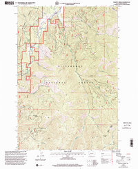 Download a high-resolution, GPS-compatible USGS topo map for Piquett Creek, MT (2002 edition)