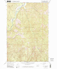 Download a high-resolution, GPS-compatible USGS topo map for Piquett Creek, MT (1984 edition)