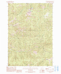 Download a high-resolution, GPS-compatible USGS topo map for Piquett Mountain, MT (1991 edition)