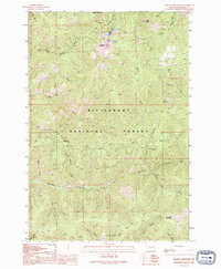Download a high-resolution, GPS-compatible USGS topo map for Piquett Mountain, MT (1994 edition)