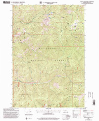 Download a high-resolution, GPS-compatible USGS topo map for Piquett Mountain, MT (2002 edition)
