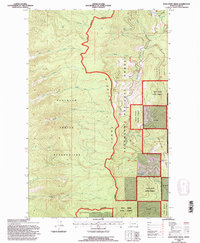 preview thumbnail of historical topo map of Lake County, MT in 1994