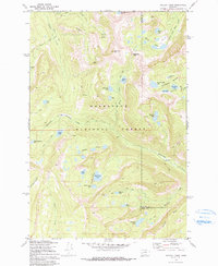 Download a high-resolution, GPS-compatible USGS topo map for Pozega Lakes, MT (1991 edition)