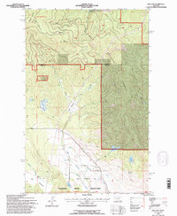 Download a high-resolution, GPS-compatible USGS topo map for Proctor, MT (1996 edition)