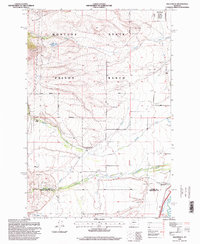 Download a high-resolution, GPS-compatible USGS topo map for Racetrack, MT (1998 edition)