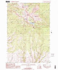 Download a high-resolution, GPS-compatible USGS topo map for Ramshorn Mountain, MT (1989 edition)