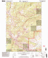 Download a high-resolution, GPS-compatible USGS topo map for Ramshorn Peak, MT (2005 edition)