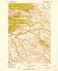 Download a high-resolution, GPS-compatible USGS topo map for Raspberry Butte, MT (1953 edition)