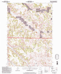 Download a high-resolution, GPS-compatible USGS topo map for Reanus Cone, MT (1998 edition)