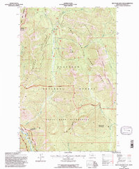 Download a high-resolution, GPS-compatible USGS topo map for Red Plume Mountain, MT (1997 edition)