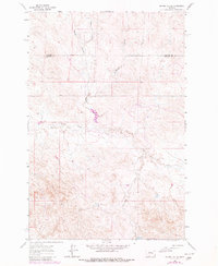 Download a high-resolution, GPS-compatible USGS topo map for Regnal Coulee, MT (1980 edition)
