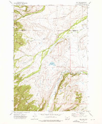 Download a high-resolution, GPS-compatible USGS topo map for Rein Lake, MT (1976 edition)