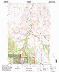 Download a high-resolution, GPS-compatible USGS topo map for Riceville, MT (1997 edition)