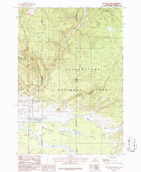 Download a high-resolution, GPS-compatible USGS topo map for Richards Creek, MT (1986 edition)