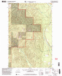 Download a high-resolution, GPS-compatible USGS topo map for Richards Peak, MT (2003 edition)