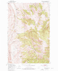 Download a high-resolution, GPS-compatible USGS topo map for Rimrock Divide, MT (1976 edition)