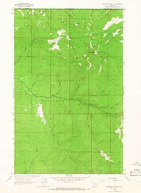 Download a high-resolution, GPS-compatible USGS topo map for Robinson Mountain, MT (1966 edition)
