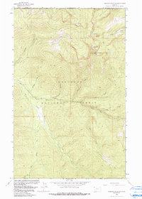 Download a high-resolution, GPS-compatible USGS topo map for Robinson Mountain, MT (1991 edition)